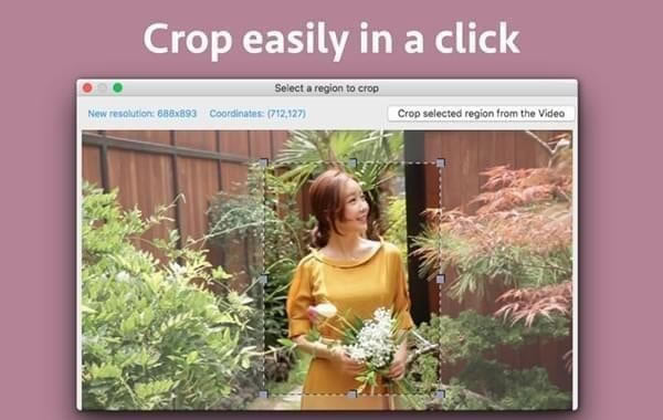 Video Cropper Pro Mac