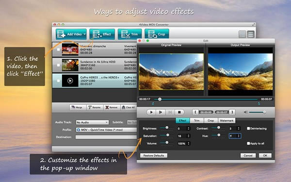 4Video MOV Converter for Mac