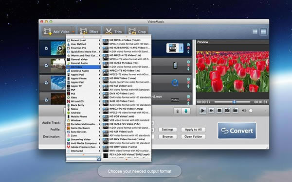 VideoMagic for Mac