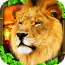 safari simulator: lion for mac-ʨmac v1.0