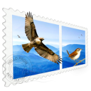 mail perspectives for mac-mail perspectives mac v1.5.3