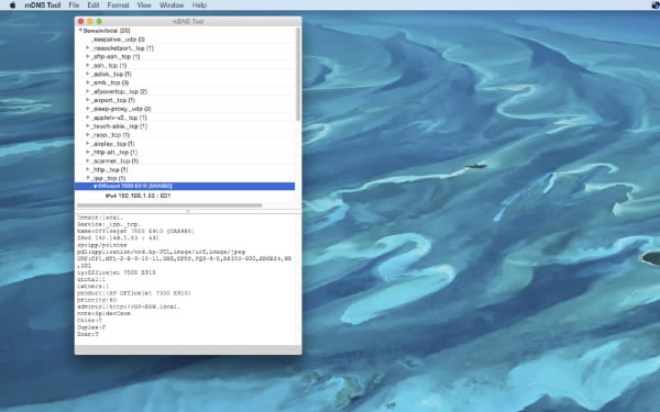 mDNS Tool Mac