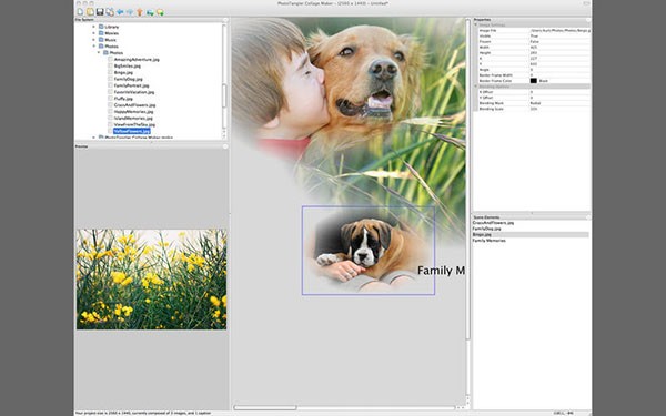 PhotoTangler Collage Maker for Mac