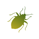 insecta for mac-insecta mac v1.0
