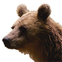 reggy bear for mac-reggy bear mac v1.0