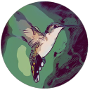 hummingbird for mac-hummingbird mac v3.0.1
