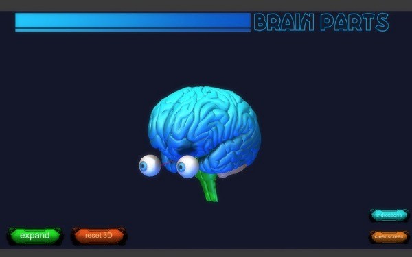 Brain Parts 3D Mac