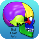 skull color parts for mac-skull color parts mac v1.0