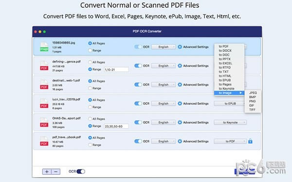 Aneesoft PDF Converter OCR Mac