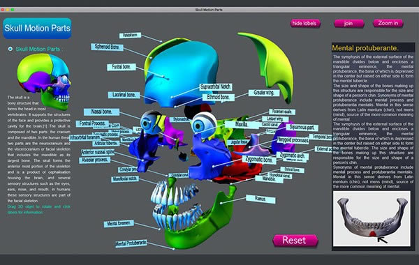 Skull Color Parts Mac