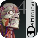 mac-essential anatomy 4 for mac v5.0.5