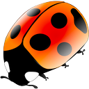 
coccinellida for mac-coccinellida mac v0.6.1