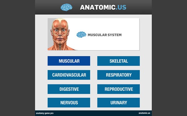 Anatomy Game Anatomicus Mac